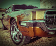 Muscle Car Muscle Car ALT